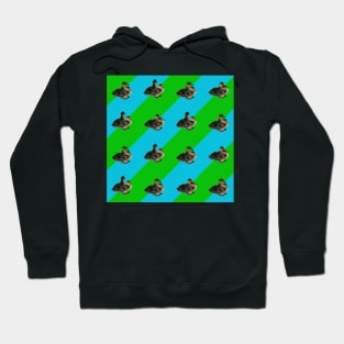 Baby Ducks on Grass Green and Sky Blue Pattern Hoodie